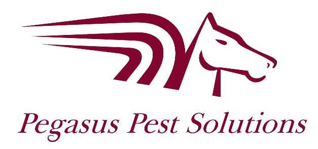 Pegasus Pest Solutions Verified Logo